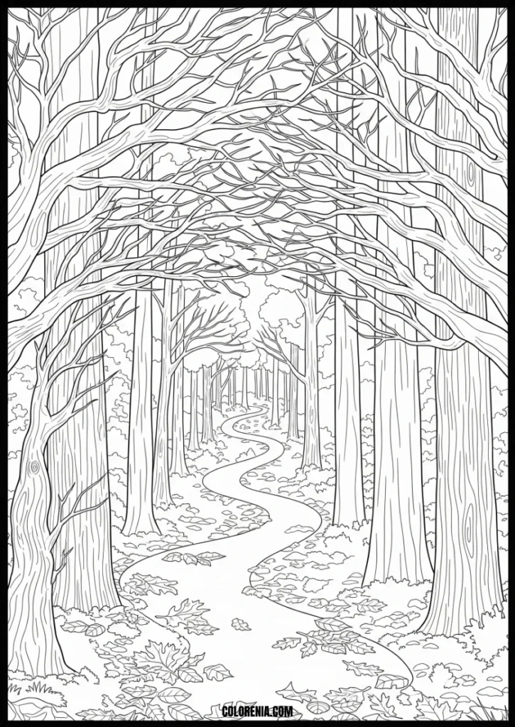 Detailed_Forest_Path_Coloring_Page