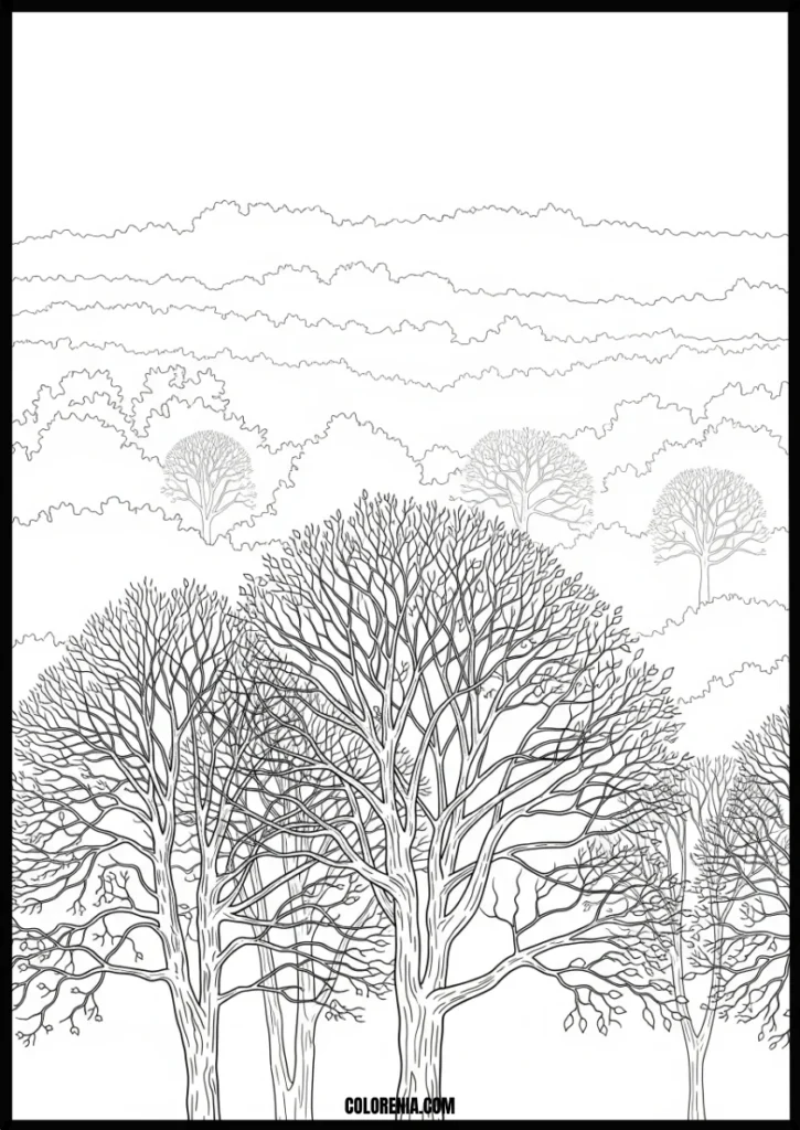 Detailed_Forest_Trees_Landscape_Coloring_Pages