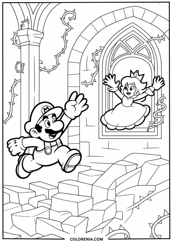 Mario Entering the Castle