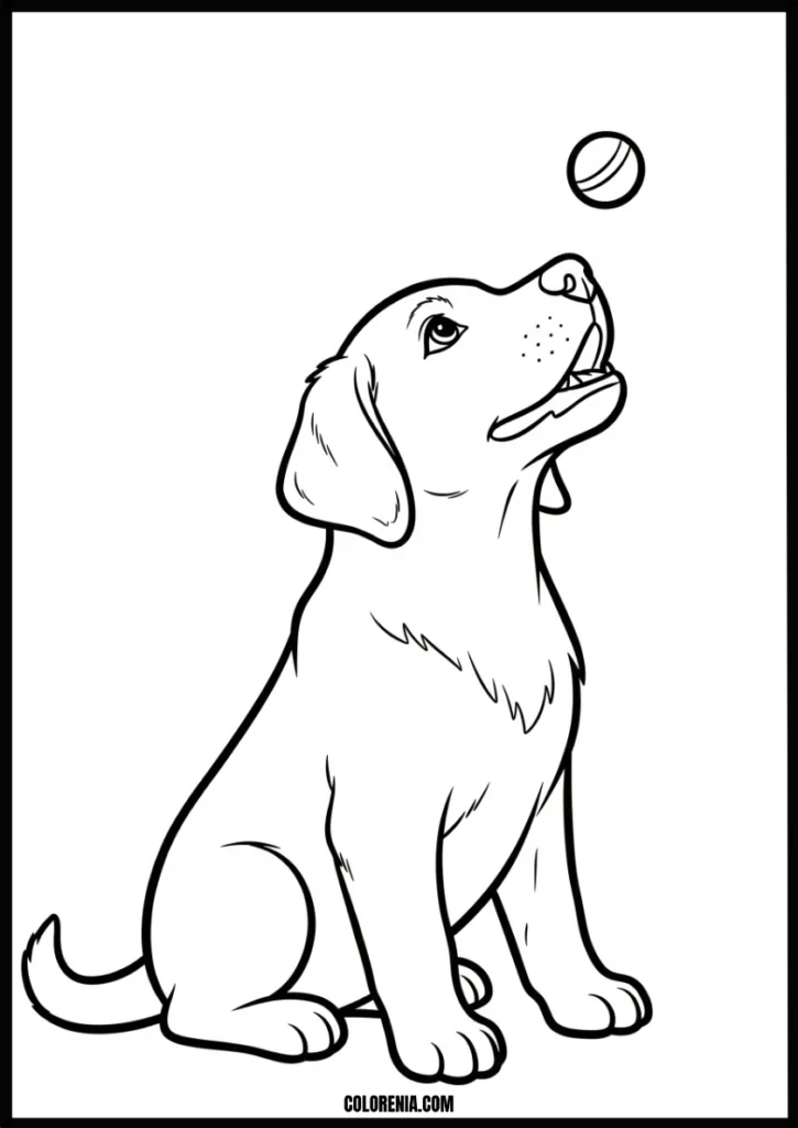 Dog portrait coloring image - detailed pet face art