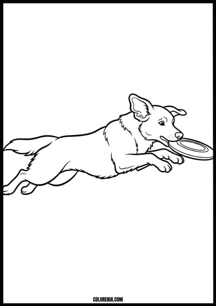 Sleeping dog coloring template - resting pet illustration