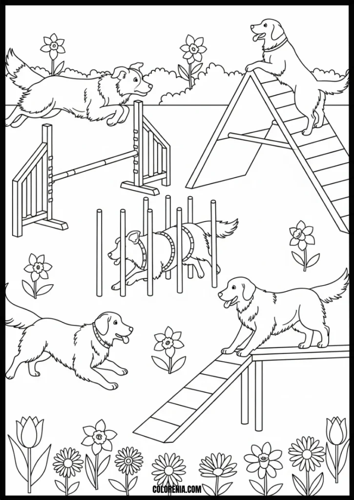 webp.49 - Dog park coloring page - social pet gathering scene