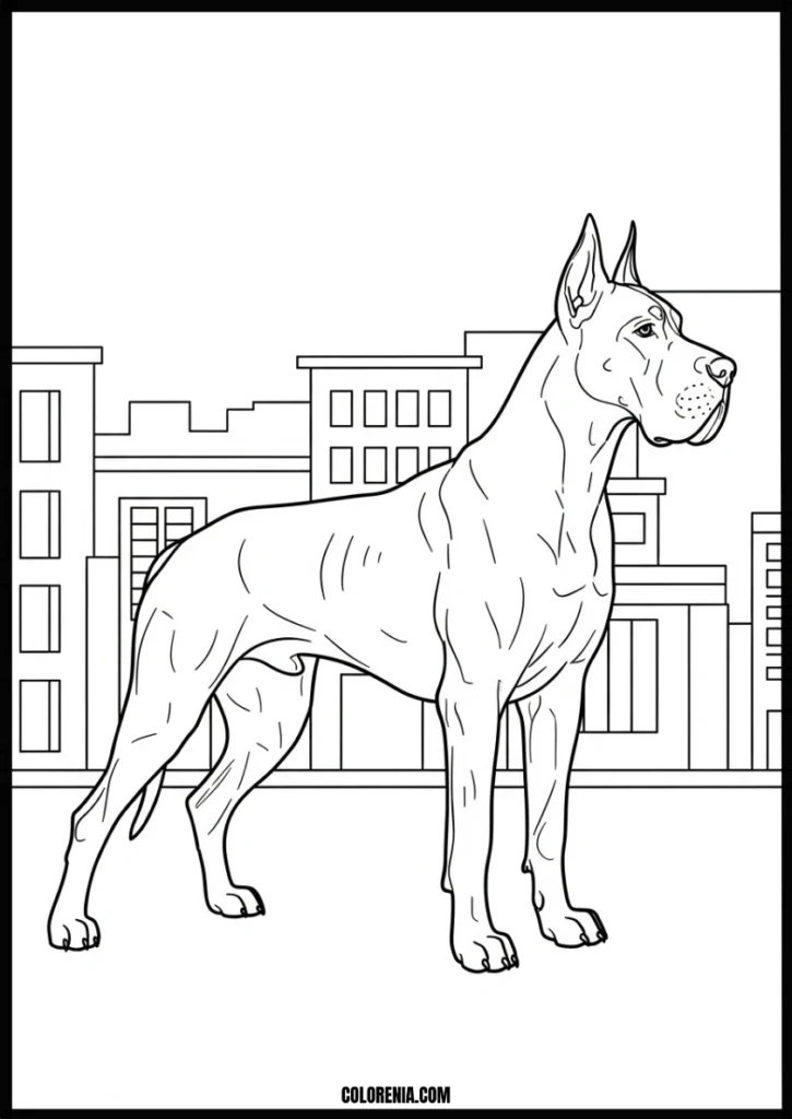 webp.52 - Pathway dogs coloring design - walking pet illustration