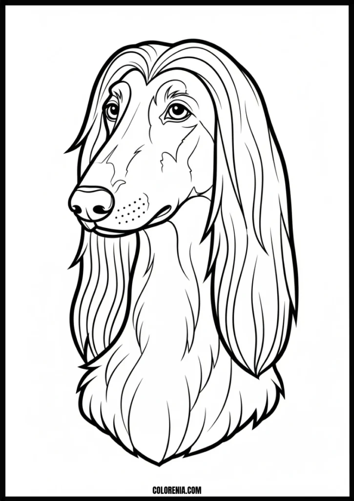 webp.53 - Royal dog coloring page - elegant puppy portrait art