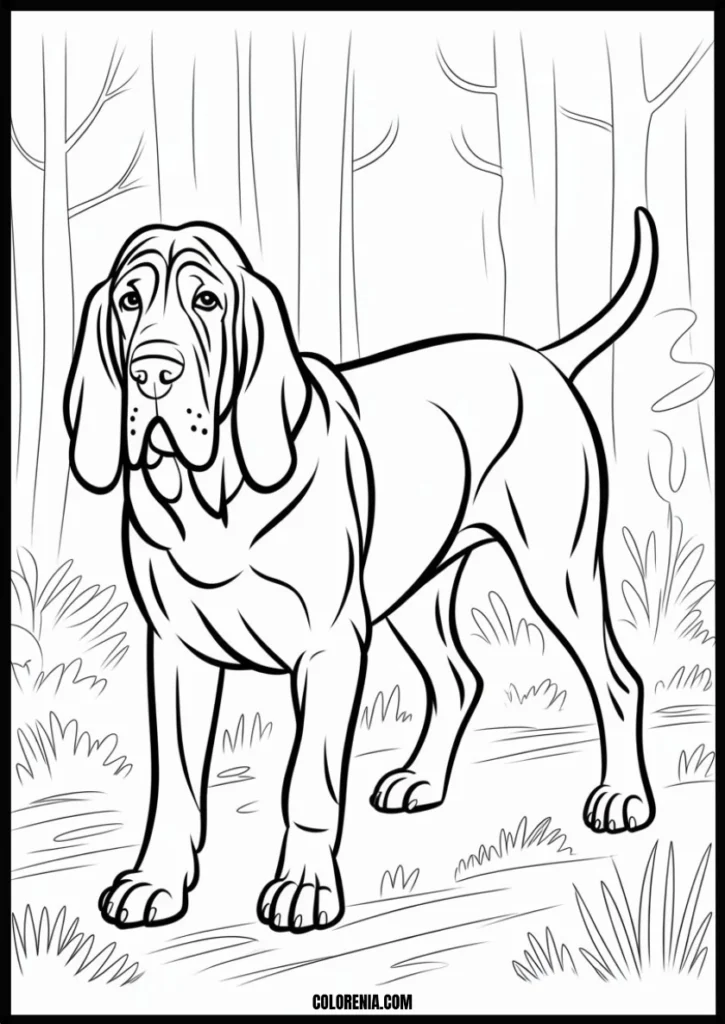 webp.56 - Dog character coloring page - unique pet personality art