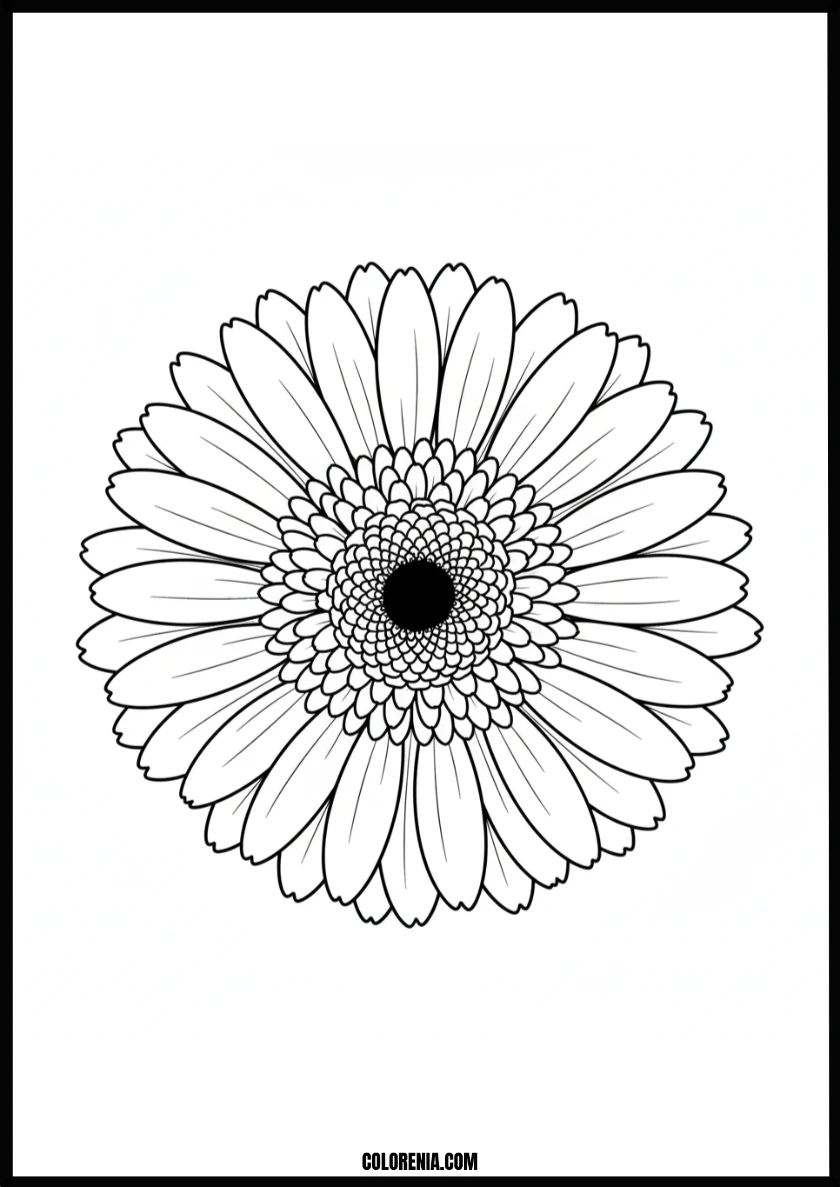 Beautiful Bloom Flower Coloring Page