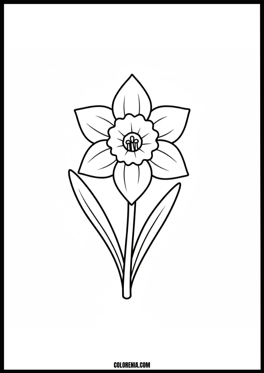 Beautiful Spring Daffodil Flower Coloring Page