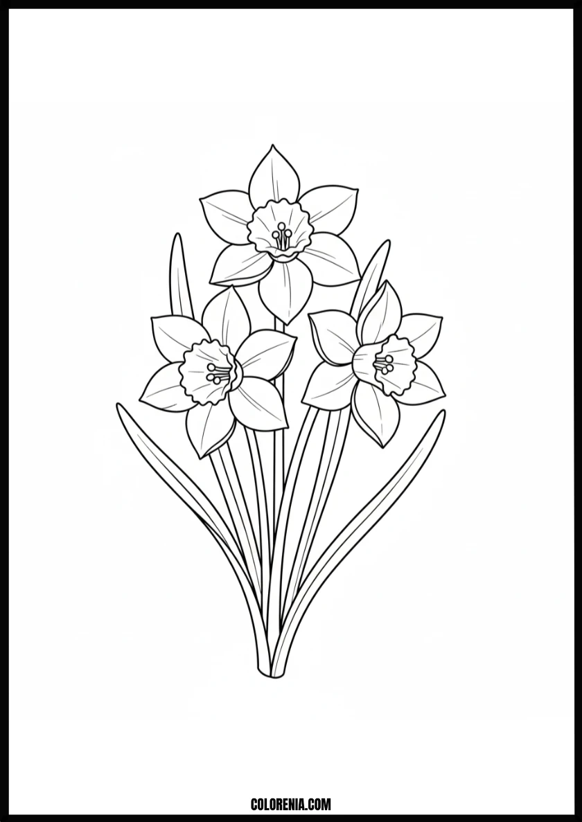 Beautiful Spring Daffodil Flowers Coloring Page