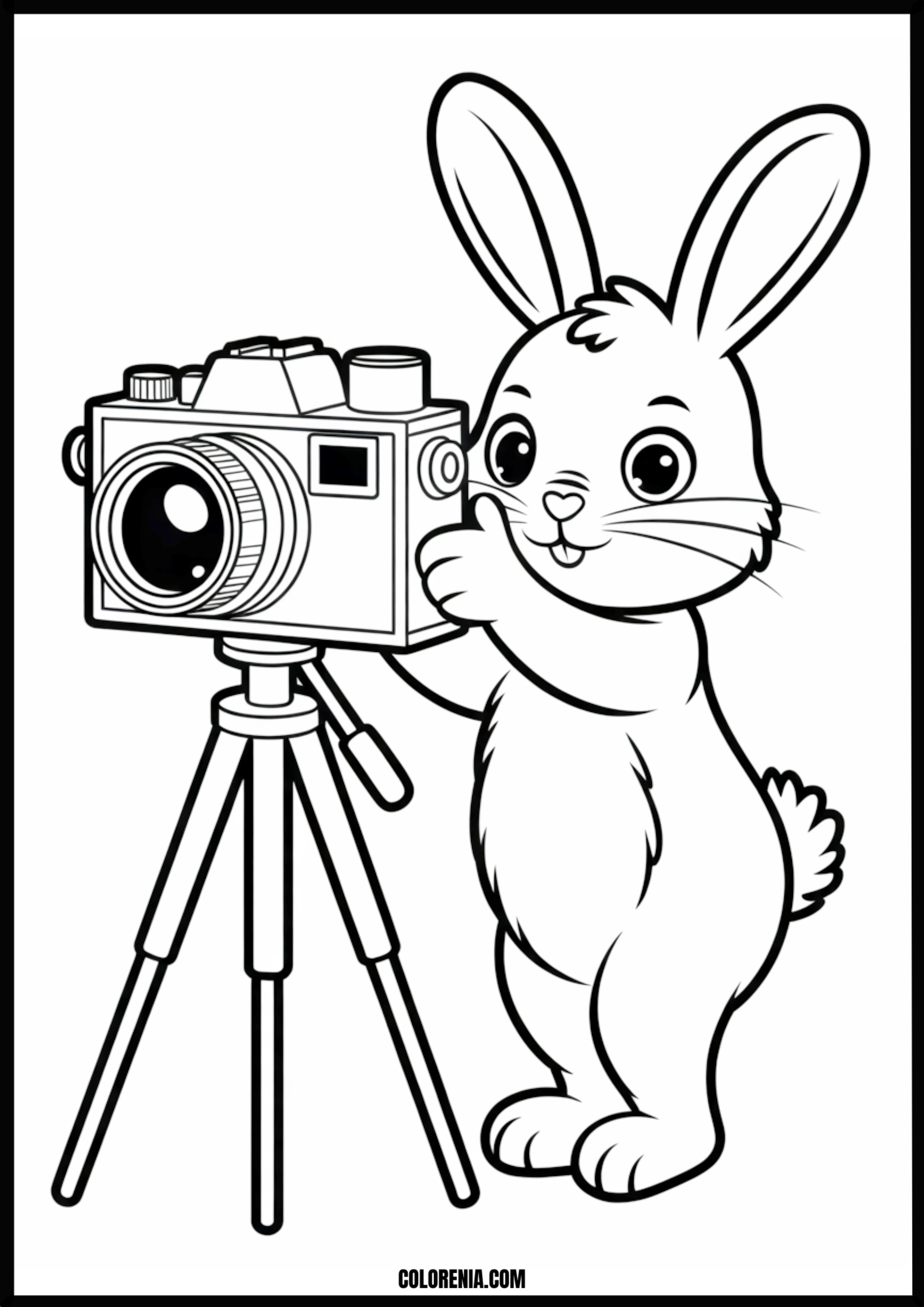 Bunny Photographer Camera Thumbs Up Printable Coloring Page Coloring page of bunny photographer camera thumbs up
