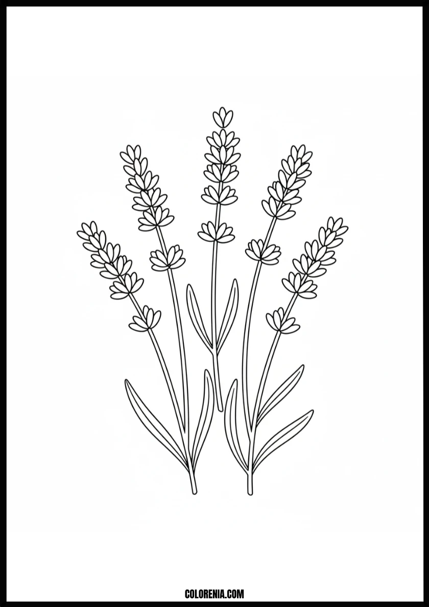 Calming Lavender Bouquet Coloring Page