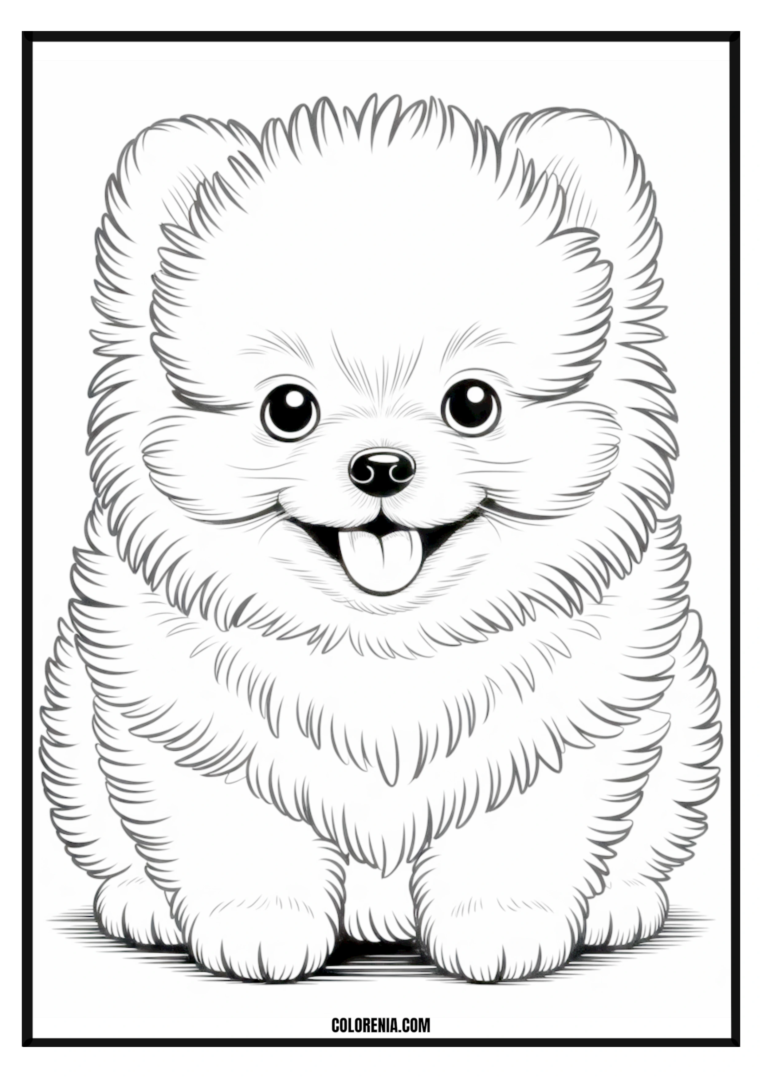 Printable Cute Pomeranian Puppy Coloring Page Cute fluffy Pomeranian puppy sitting, detailed illustration for coloring.