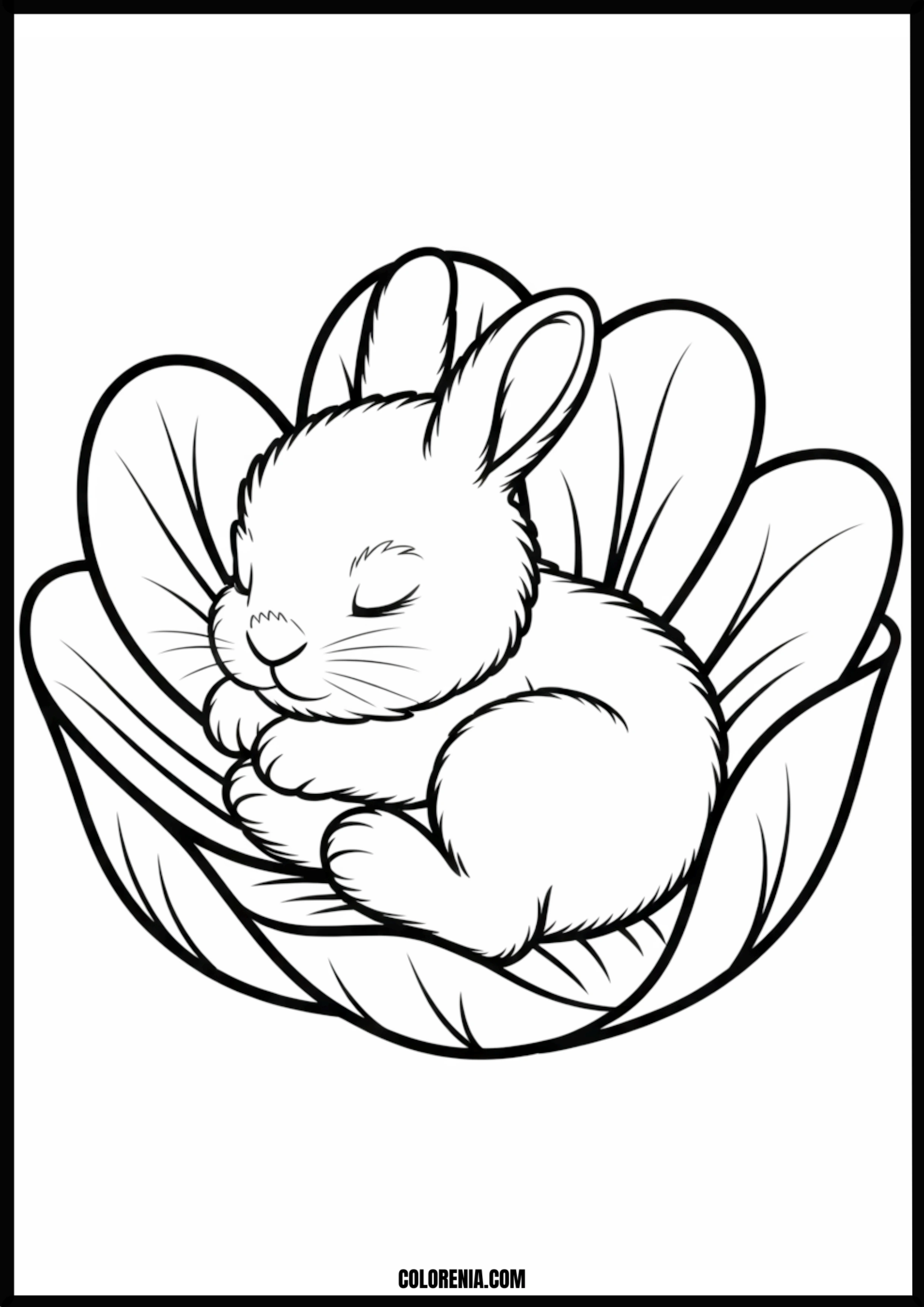 Cute Baby Bunny Sleeping In Leaf Printable Coloring Page Coloring page of cute baby bunny sleeping in leaf
