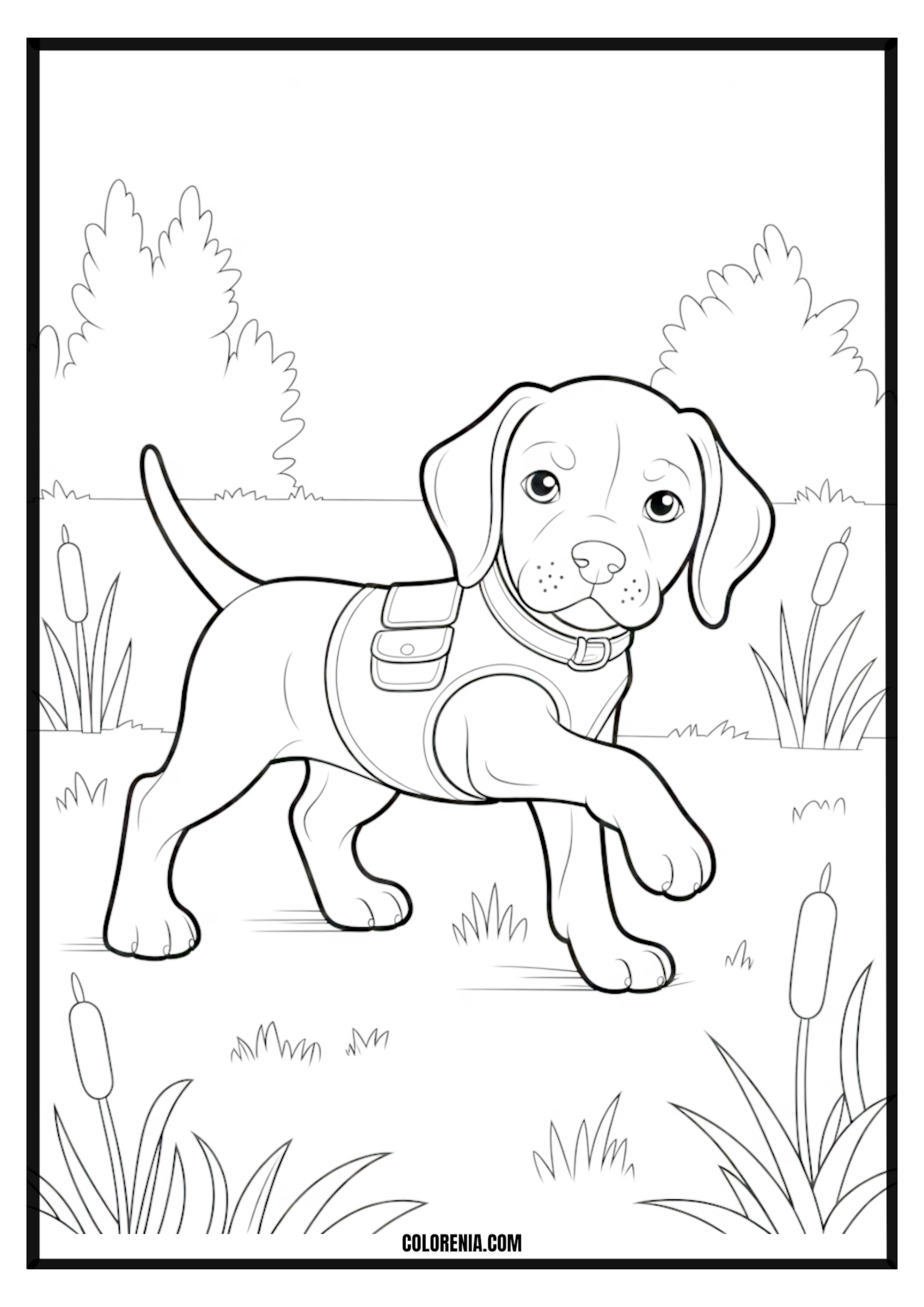 Printable Cute Puppy in Harness Coloring Page Cute puppy wearing a harness, ready for a walk, pet accessory theme.