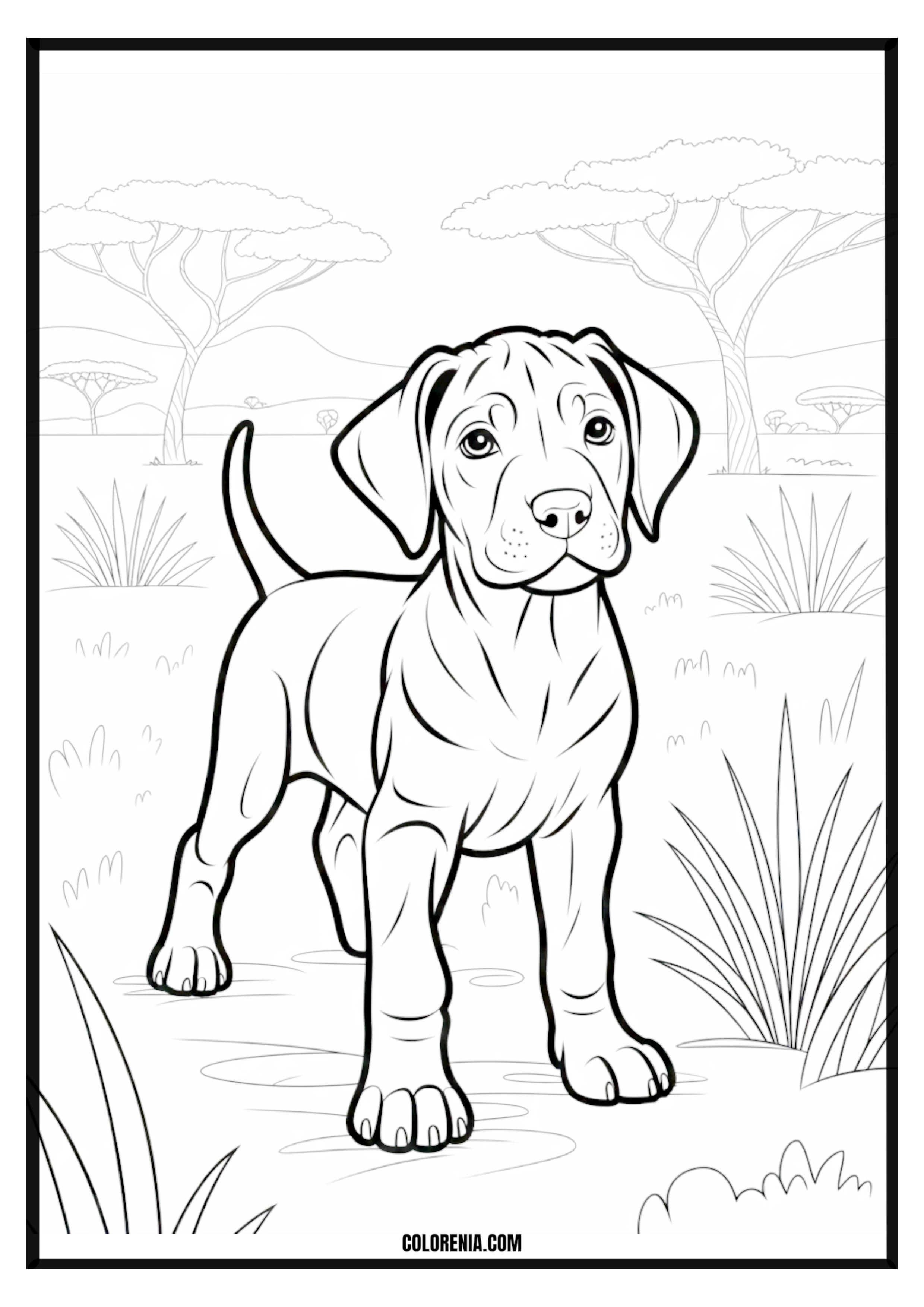 Printable Cute Puppy Savanna Trees Coloring Page Cute puppy exploring a savanna landscape with trees, nature adventure.