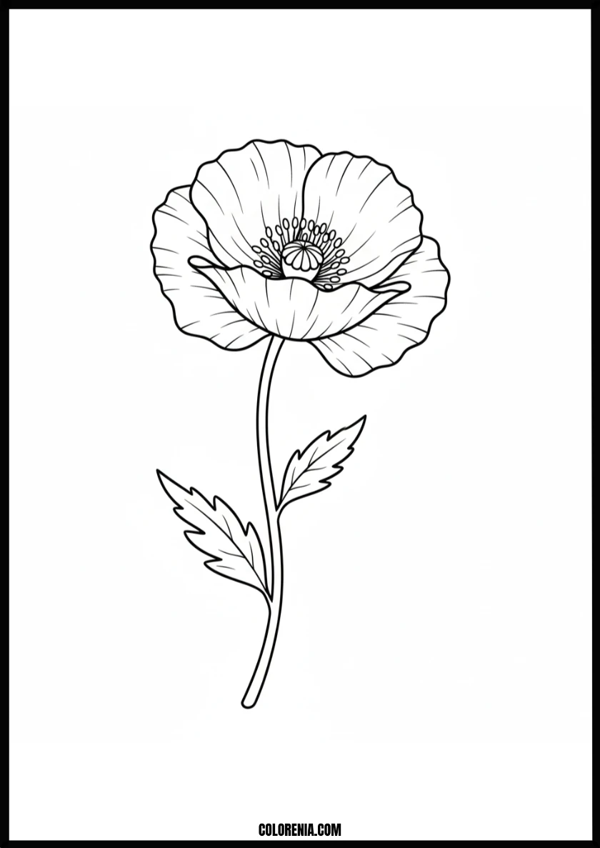Graceful Poppy Blossom Coloring Page