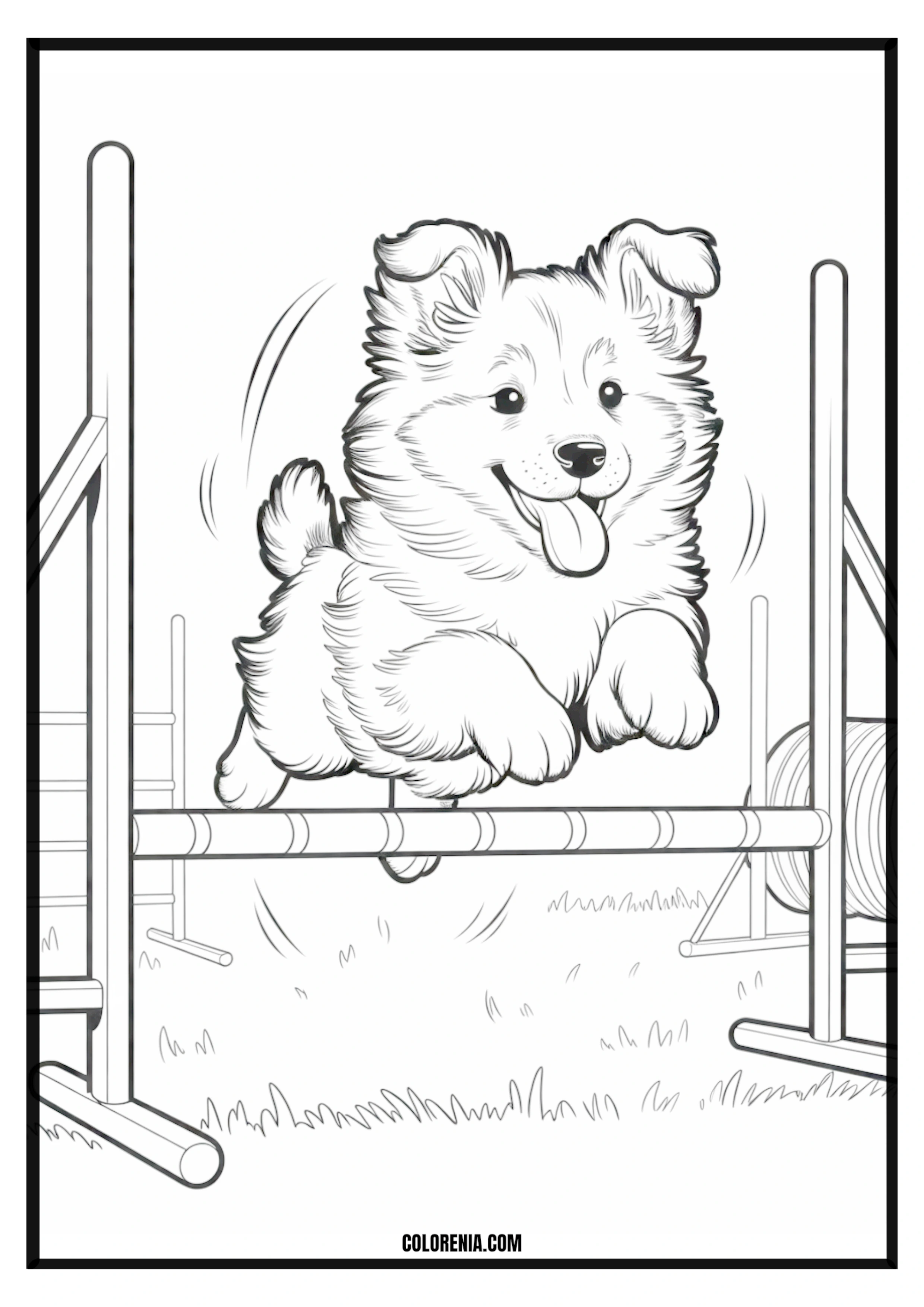 Printable Happy Puppy Jumps Agility Hurdle Coloring Page Happy puppy gracefully jumping over an agility hurdle, dog sport.