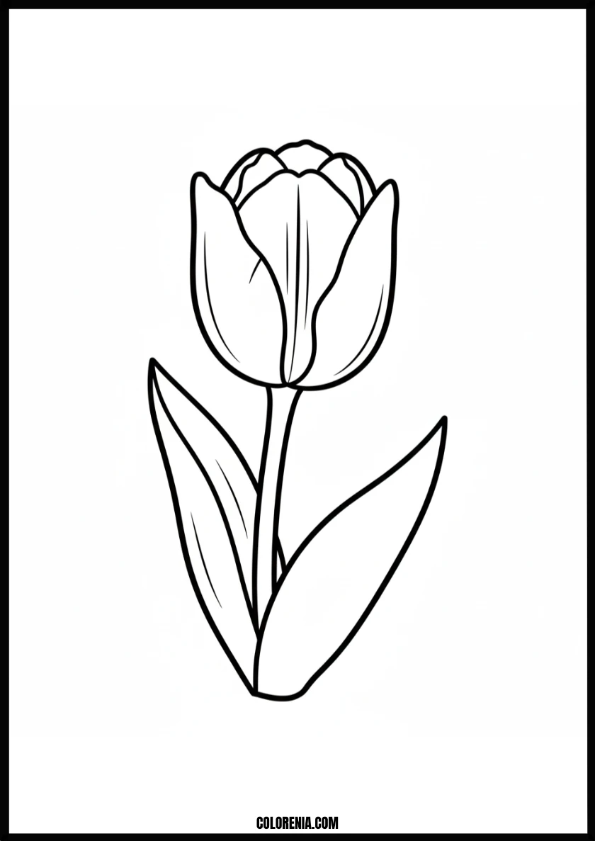 Lovely Tulip Bloom Coloring Page