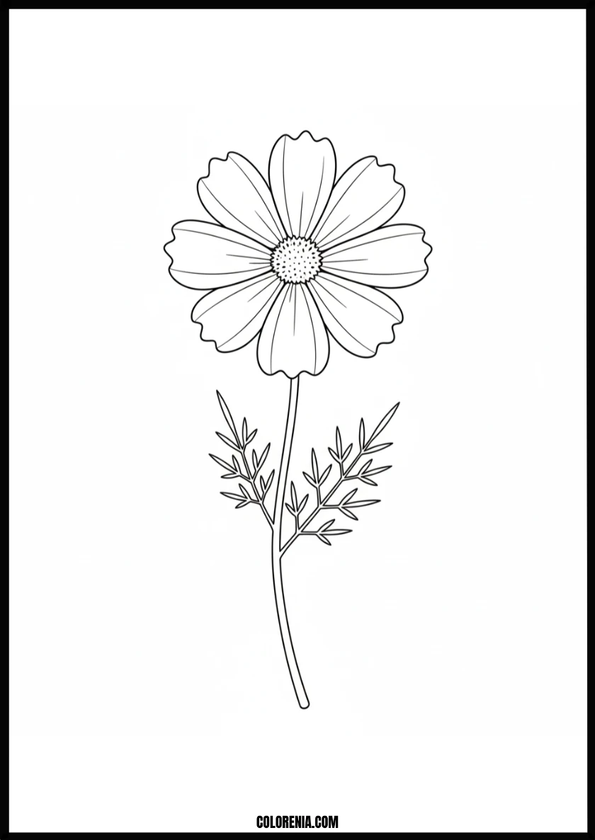 Pretty Cosmos Flower Coloring Page