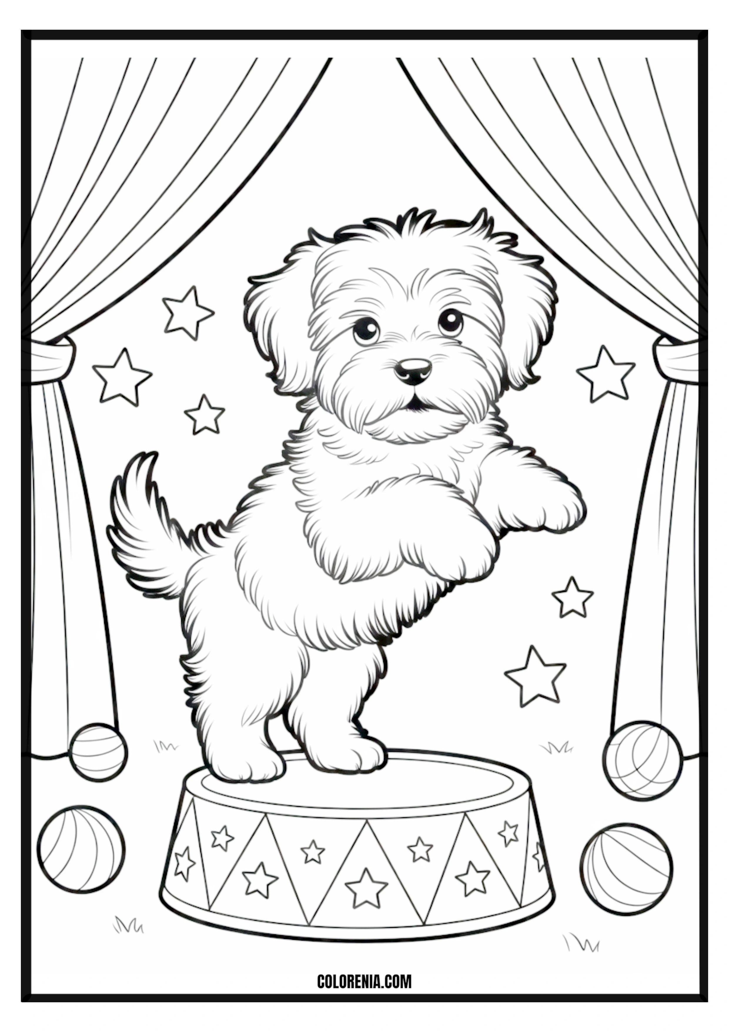 Printable Puppy Balancing on Circus Drum with Stars Coloring Page Puppy skillfully balancing on a circus drum surrounded by stars, magical.